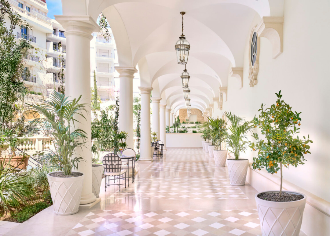 TMS Nice & Cannes 2025 (2)